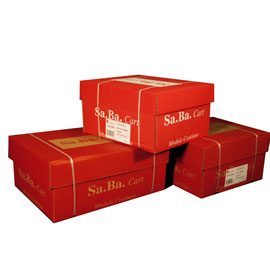 CARTA IN MODULO CONTINUO 37,5X12'' 60GR (2000FG) LF Piste Fisse