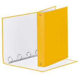 RACCOGLITORE Meeting 30 A4 4R IN PPL Giallo Esselte