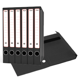 Gruppo raccoglitori SESTETTO c/cartelle 25x35cm dorso 23.5cm REXEL