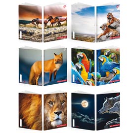 Maxiquaderno A4 36fg+2 100gr rigo di 1a WILD Be More Special 2022 BM