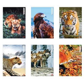 Maxiquaderno A4 40fg+2 80gr 10mm Animal 2019 BM