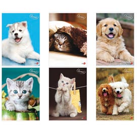 Maxiquaderno A4 40FG+2 80gr 5mm c/marigne Cute 2023 BM